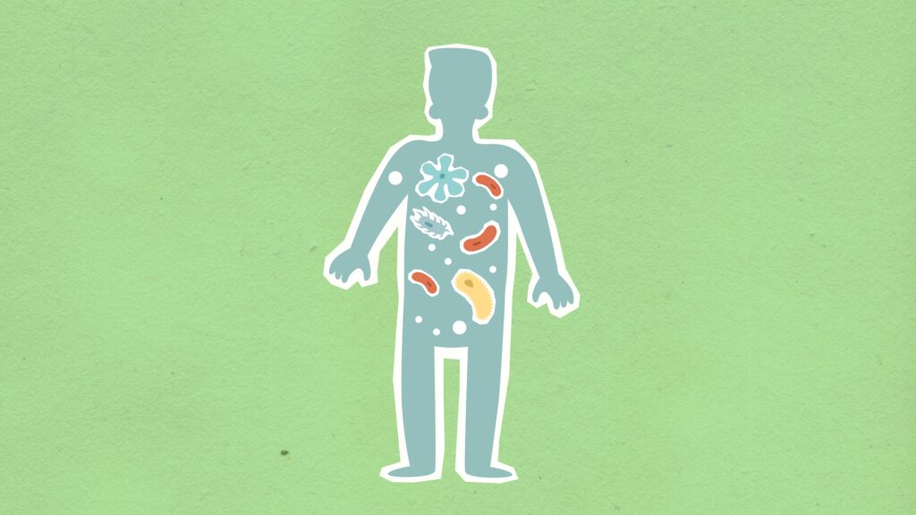 Microbiome in our gut